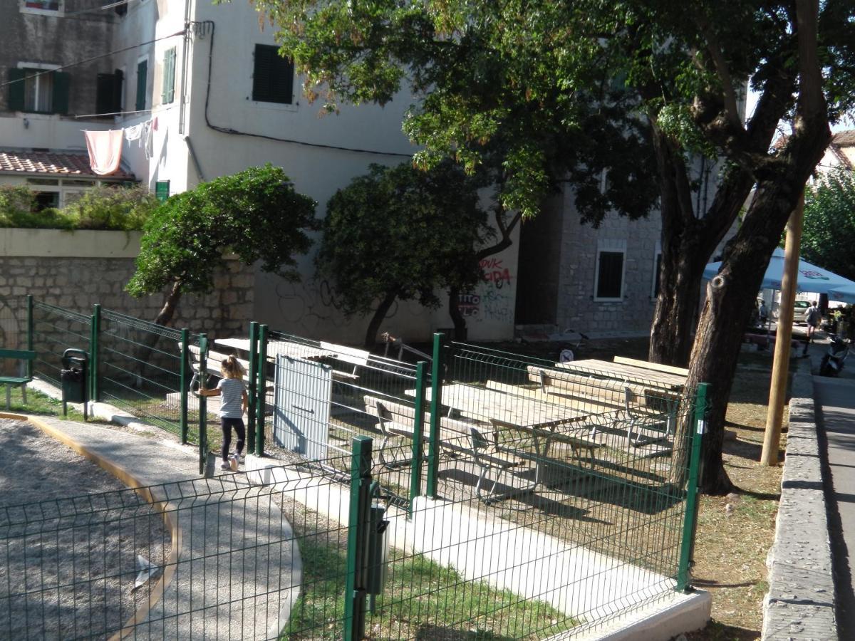 Happy Jackdaw In The Center Of Apartman Split